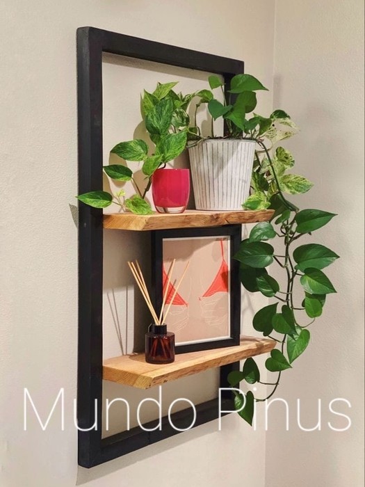 Pinus decor, Loja Online | Shopee Brasil