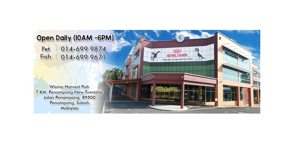 Best harvest fish pet sdn bhd Online Sale Black Friday