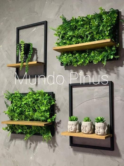 Pinus decor, Loja Online | Shopee Brasil