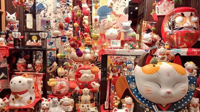 FortuneCat SG, Online Shop | Shopee Singapore
