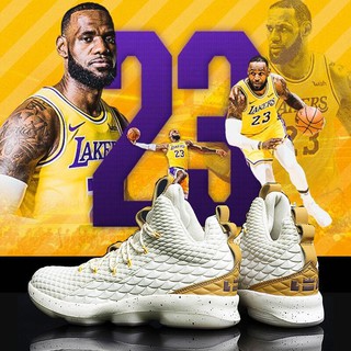 Sepatu basket lebron james online