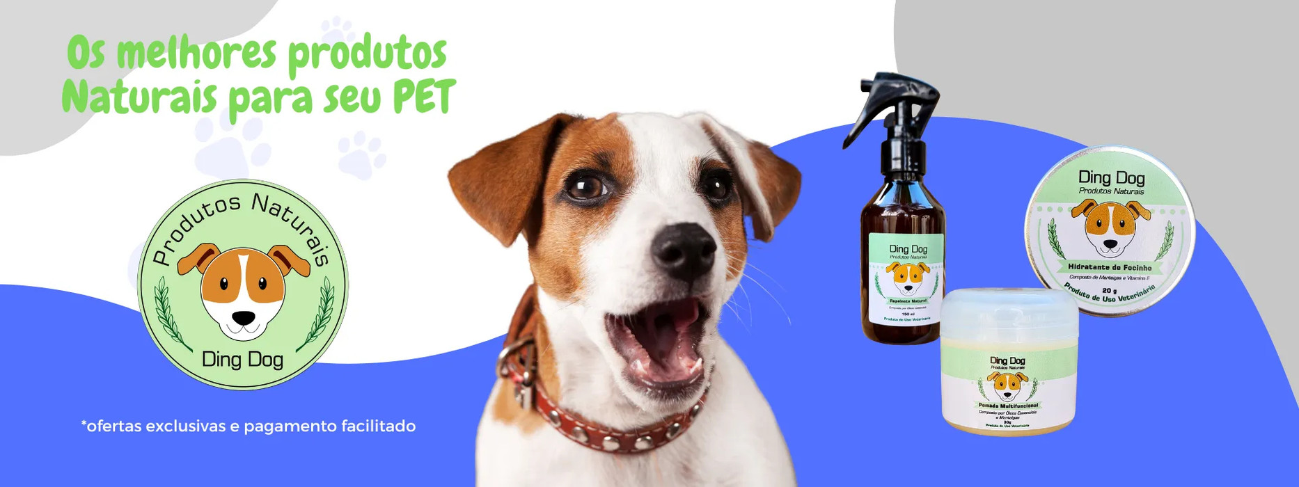 Ding Dog Loja Online Shopee Brasil