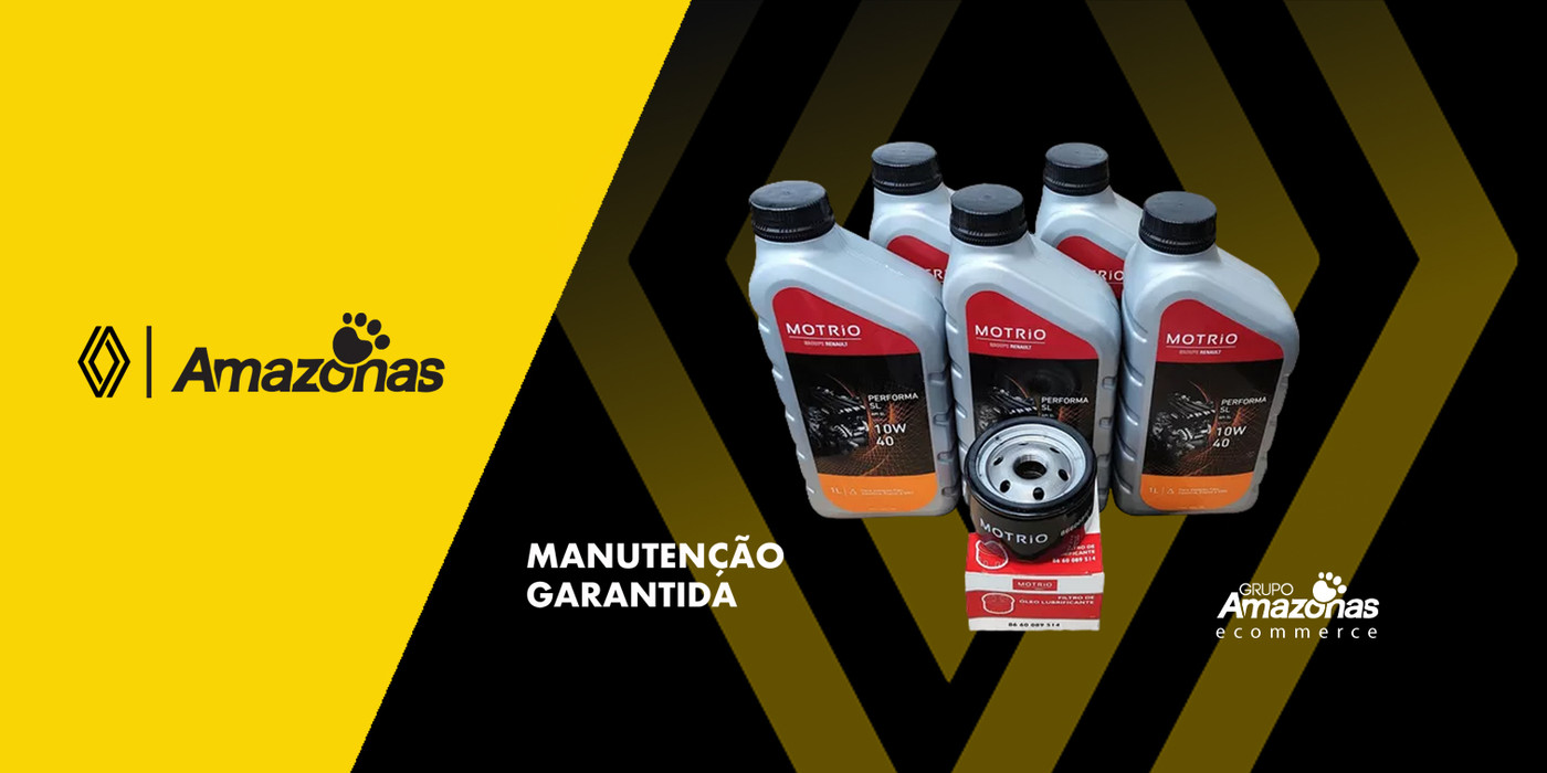 Grupo Amz Renault France | Loja Oficial | Shopee 2026