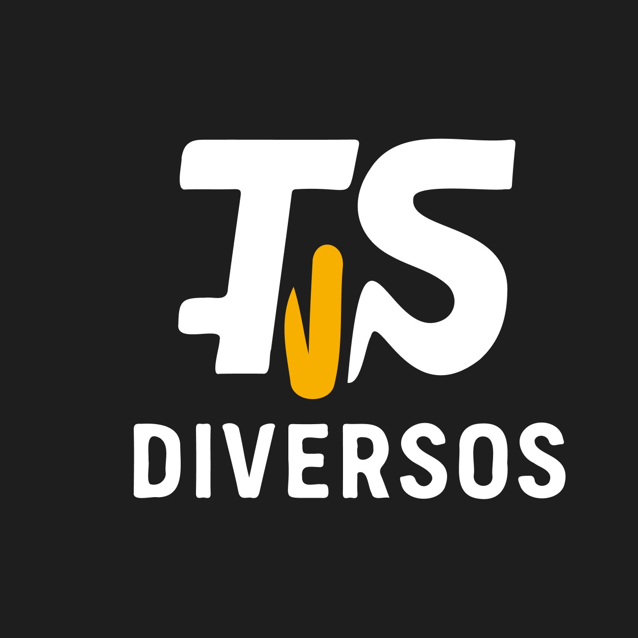 TS Diversos, Loja Online | Shopee Brasil