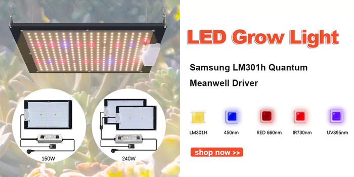 Shopee Brasil | Ofertas incríveis. Melhores preços do mercado