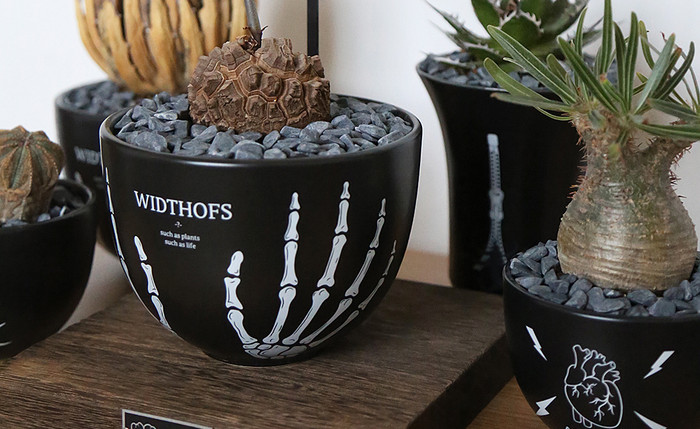 植陶Plant Pottery, 線上商店| 蝦皮購物