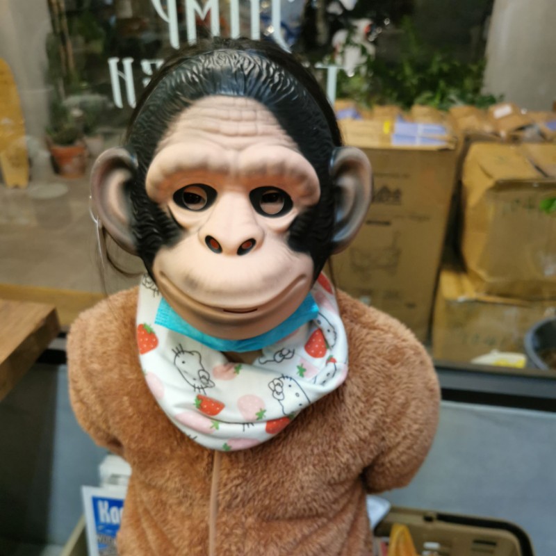翊智精靈*, 線上商店| 蝦皮購物