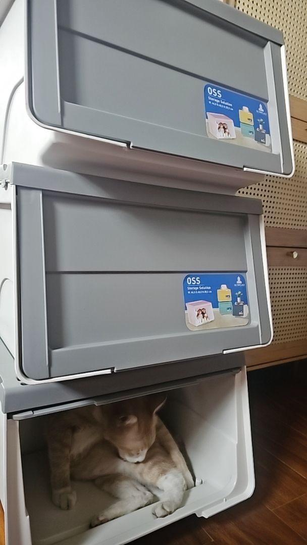 Foto ulasan 1