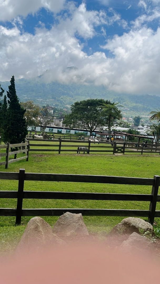 Foto ulasan 1