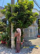 Foto dari pembeli