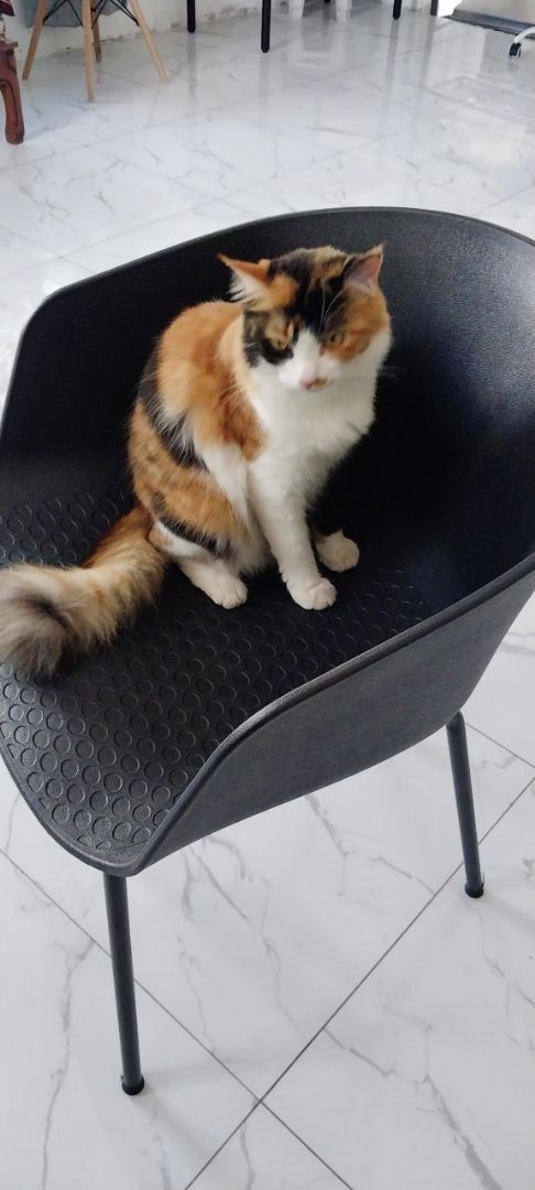Foto ulasan 2