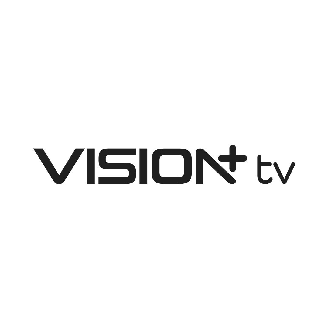 Vision Plus