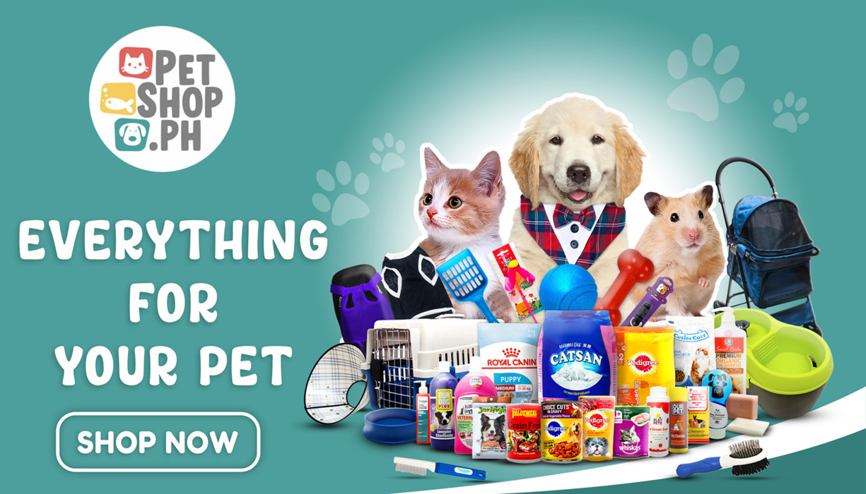 Puppy Pets Accessories Online Shopping For Home Dog Accessories