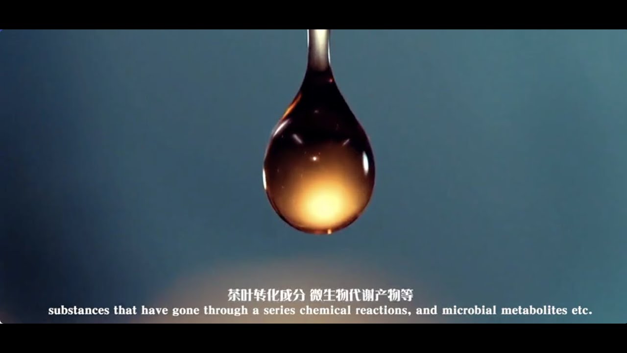 茶有大益｜普洱茶｜台灣唯一授權, 線上商城| 蝦皮購物