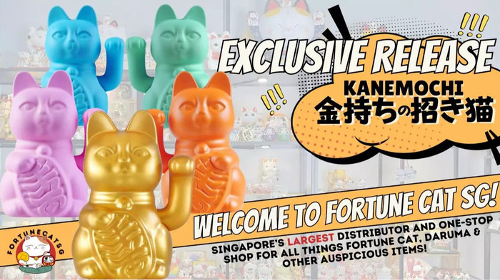 FortuneCat SG, Online Shop | Shopee Singapore