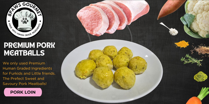 8PAWS GOURMET, Online Shop | Shopee Singapore