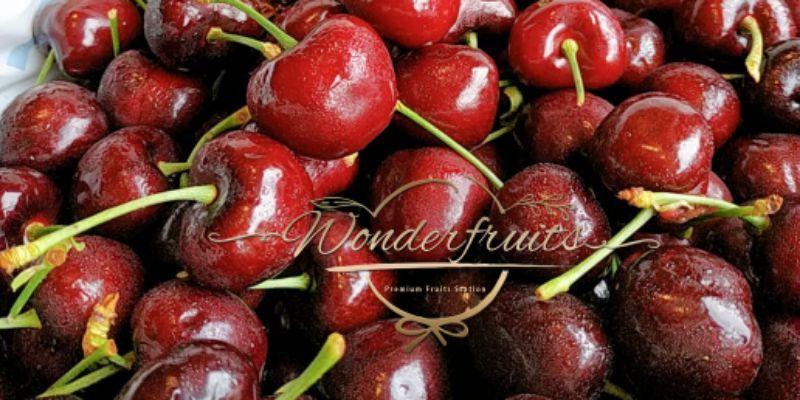 Wonderfruits Sg, Online Shop | Shopee Singapore