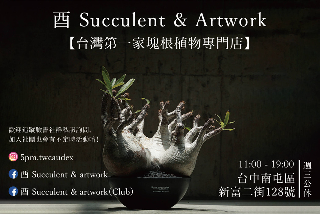 朱泥 朱塗り 遊雲鳳凰刻 四足 龍雲刻 花台 香台 盆栽台 高台 約H30㎝弱