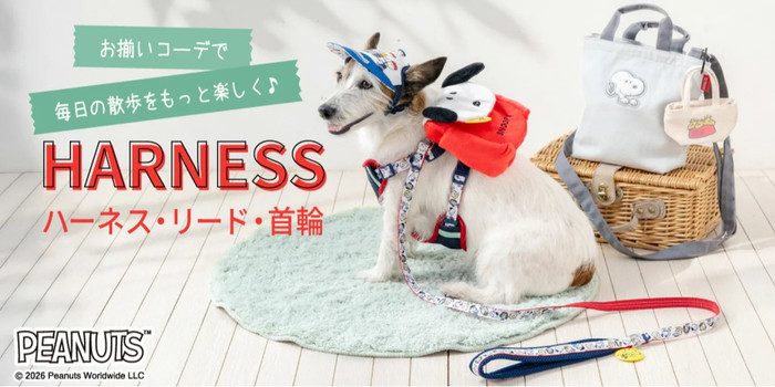 PET PARADISE, 官方旗艦店| 蝦皮購物