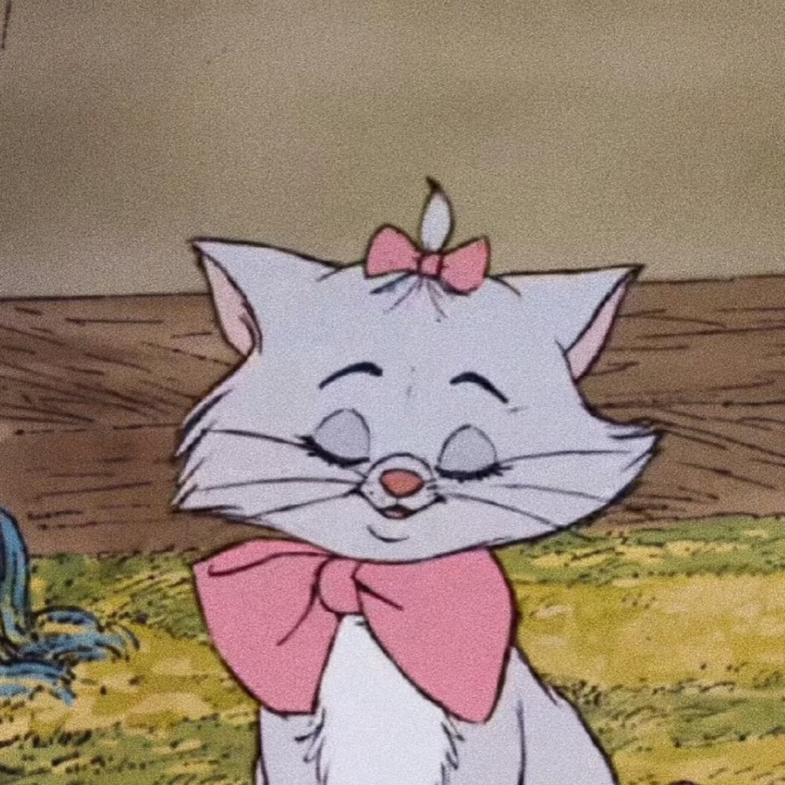 Cherry's 🍒, 線上商店| 蝦皮購物