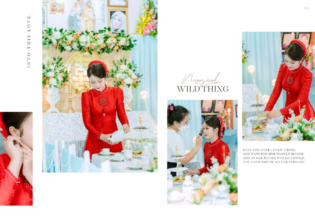 vn-11134103-7r98o-ll9ajoixhj1yc9