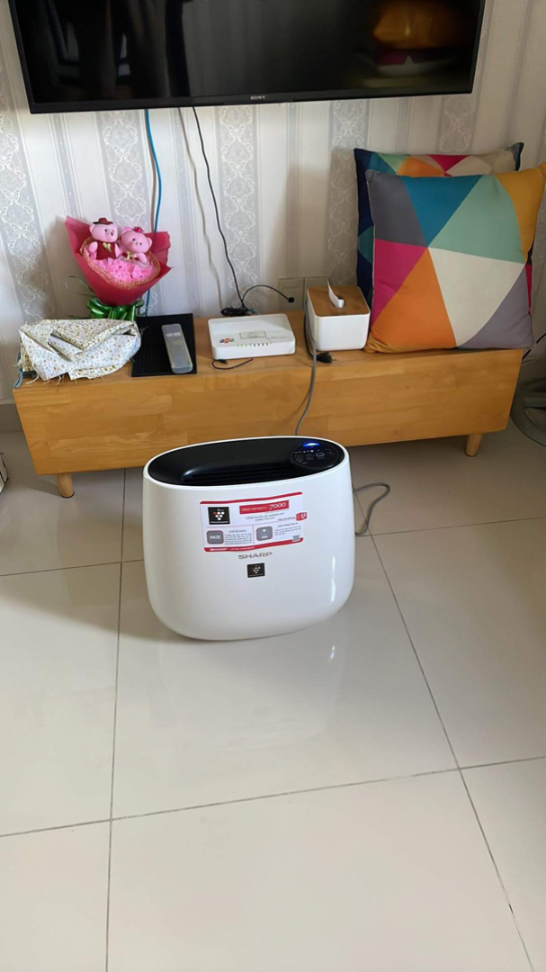 vn-11134103-7r98o-lljfl29rxk2027