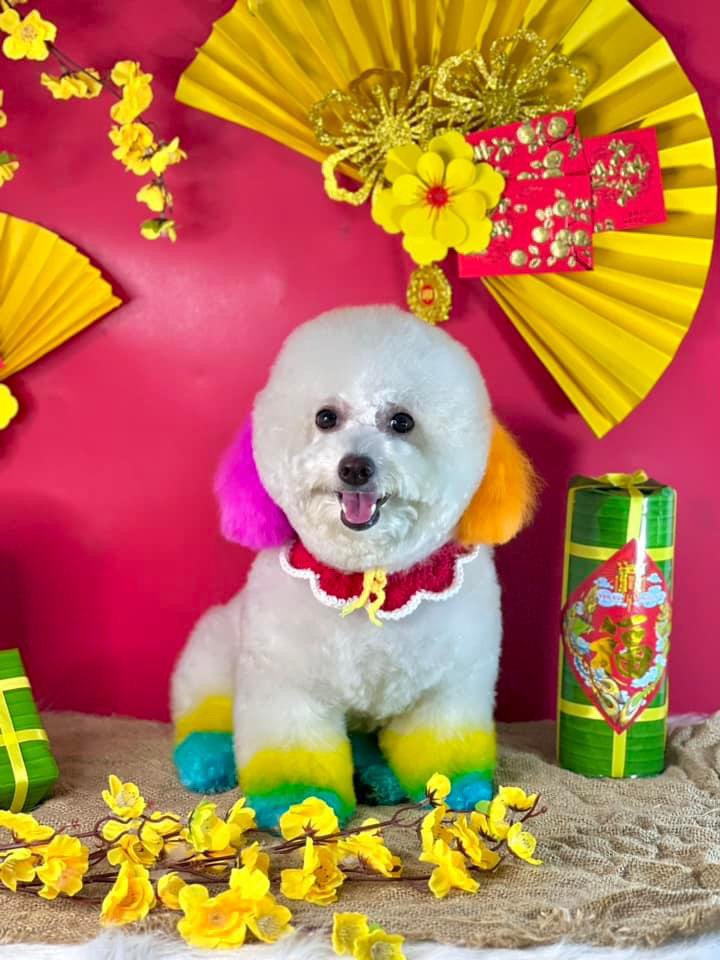 vn-11134103-7r98o-lr7gcbxoidg99f