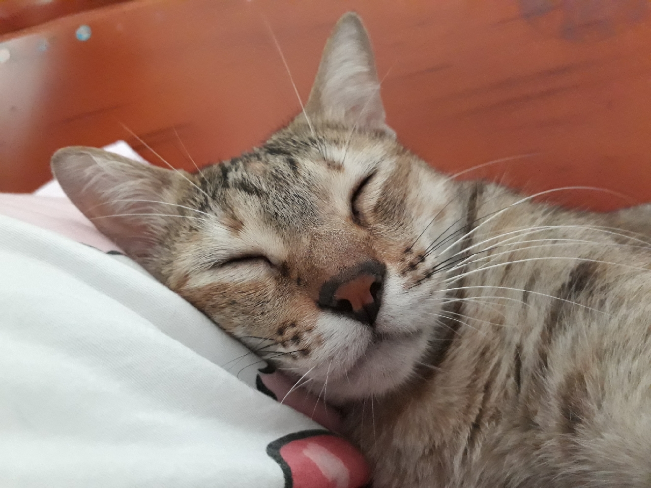 vn-11134103-7r98o-lrneryfnxsbd2f