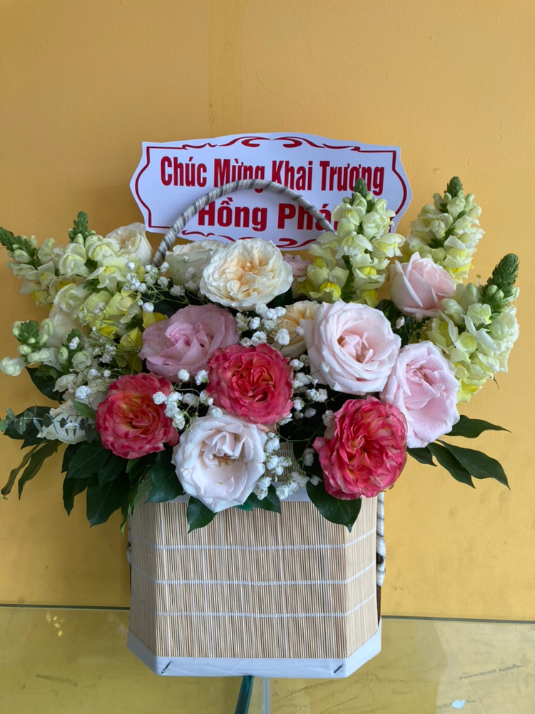 vn-11134103-7r98o-ls0wprxutkuca5