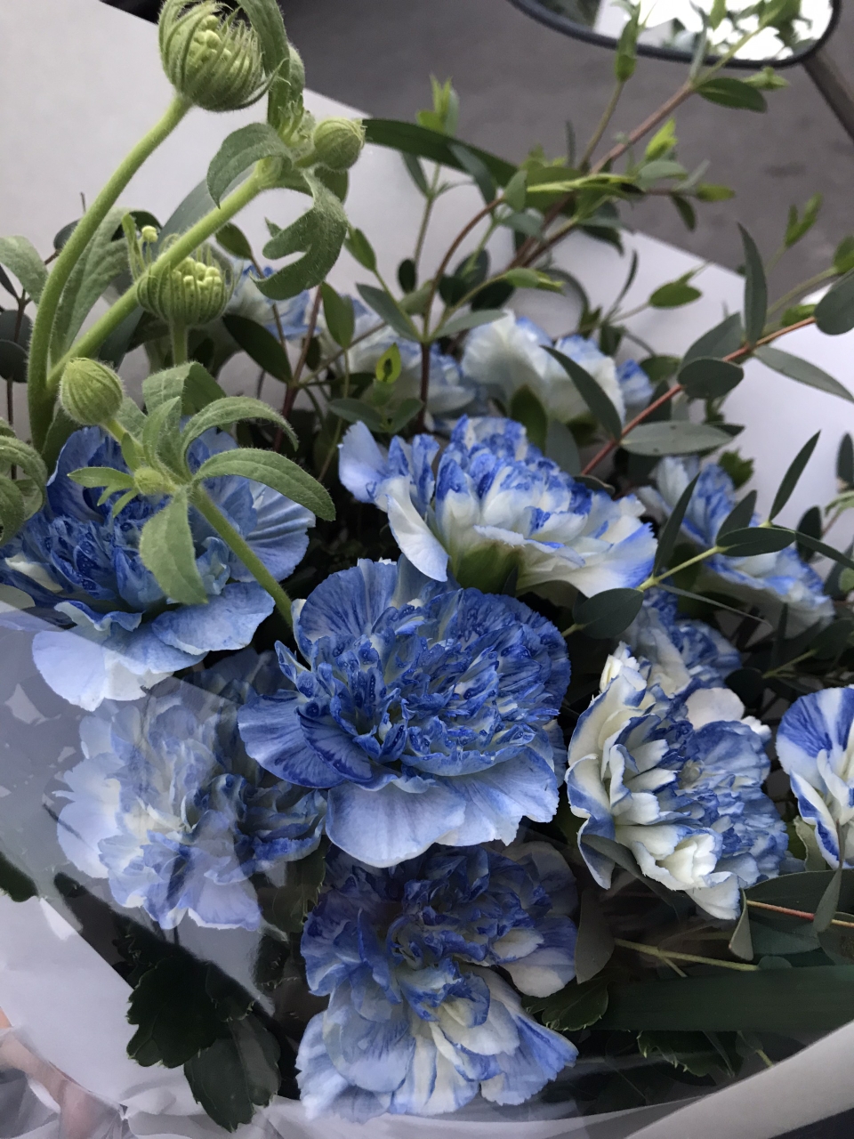 vn-11134103-7r98o-ls23lack6tuh9a