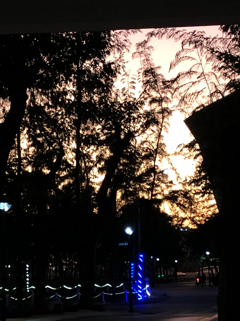 vn-11134103-7r98o-ls433eebn5w9a2