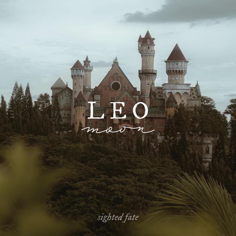 vn-11134103-7r98o-lscxrdo2yuft7a