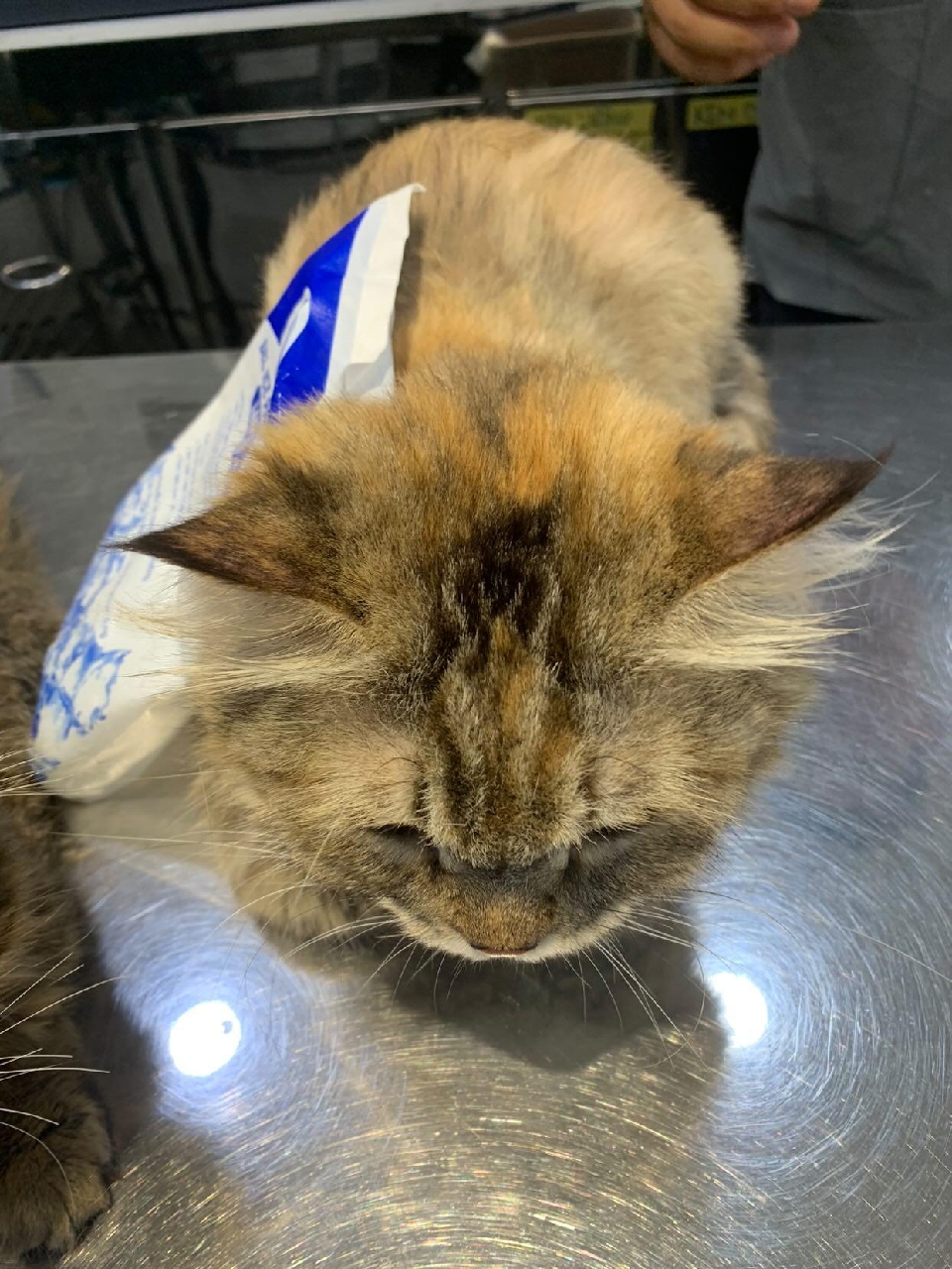 vn-11134103-7r98o-lsy4c9akbvlw5f