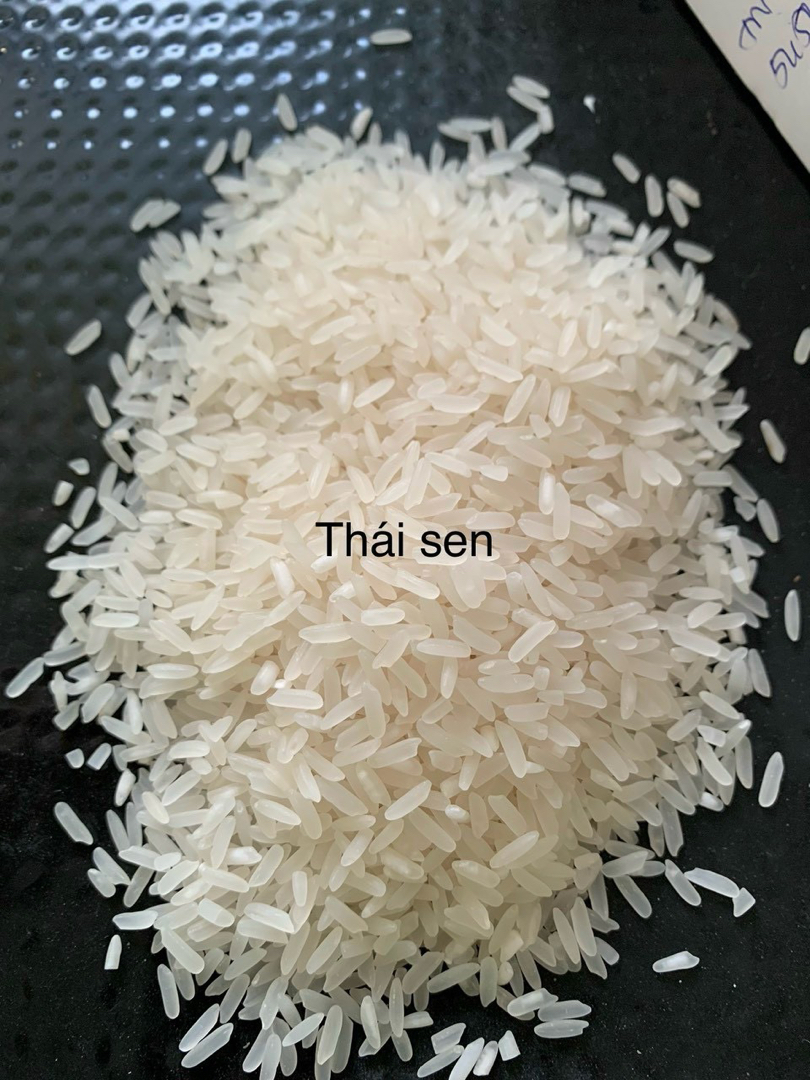 vn-11134103-7r98o-ltik41auotfu27