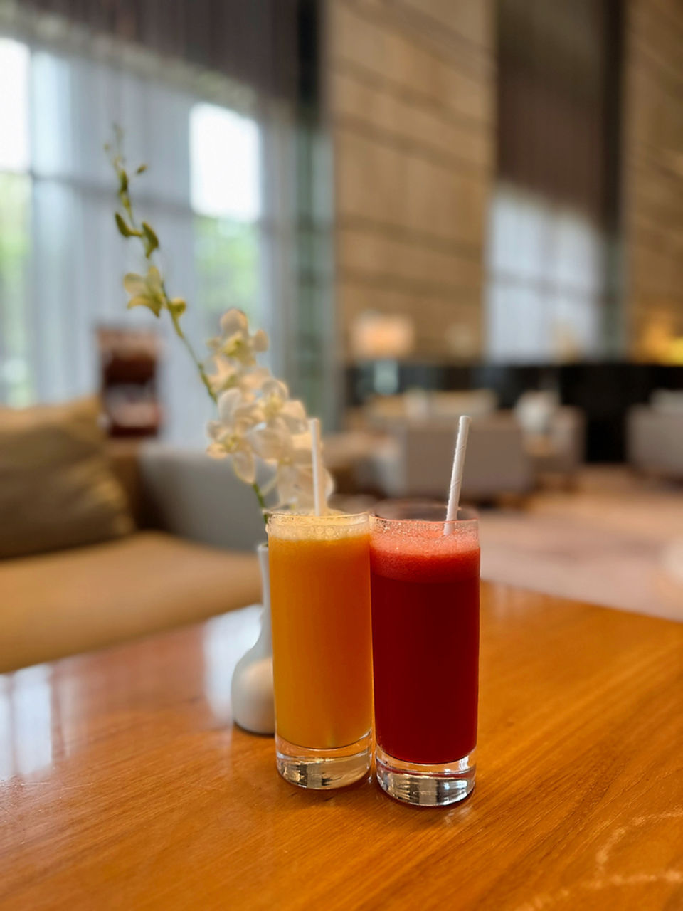 vn-11134103-7r98o-lu47ghqcjaq92d