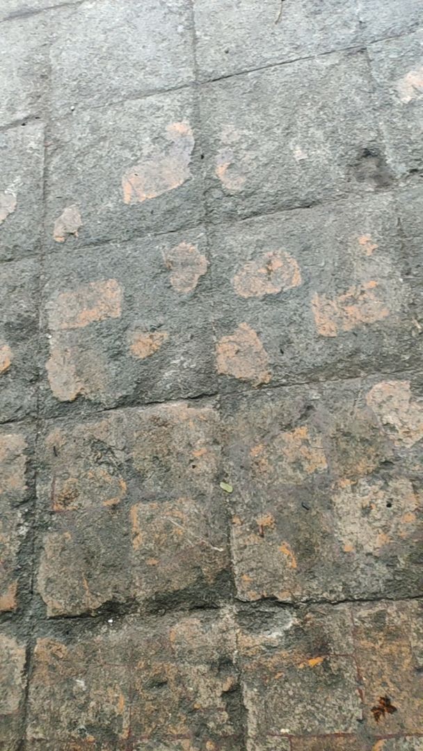 vn-11134103-7r98o-m0cdnps9s8lr12