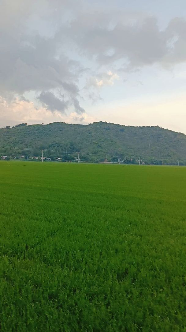 vn-11134103-7ra0g-m6kxtfh31ge0dc