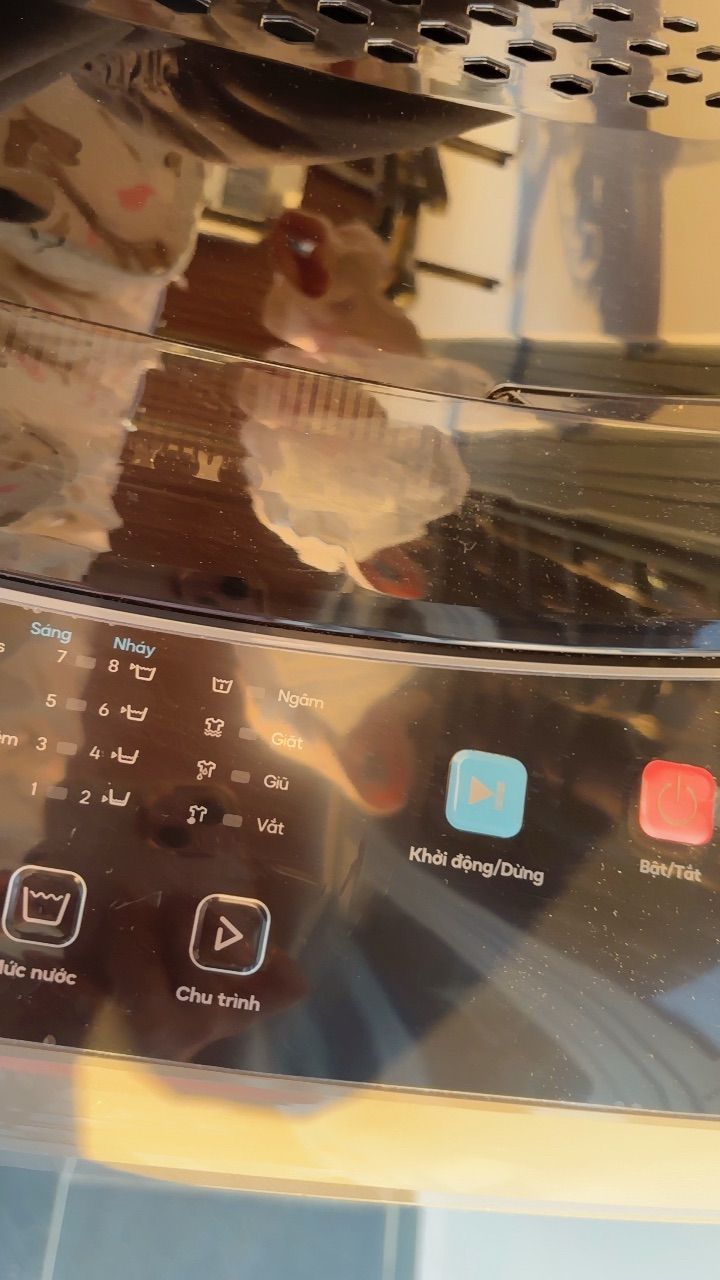 vn-11134103-7ra0g-m6s61key4gvbe6