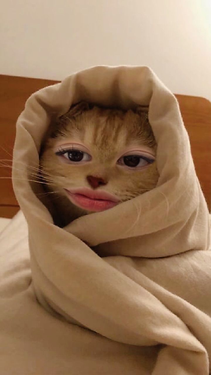 vn-11134103-7ra0g-m70b6t67wxg831