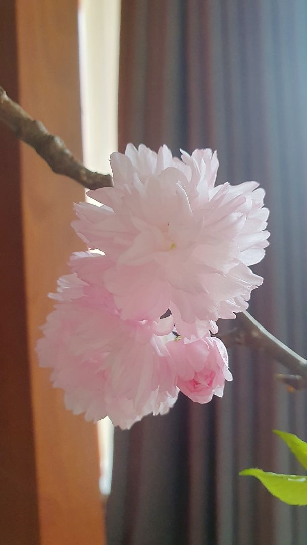 vn-11134103-7ra0g-m92qf66tgl1j98