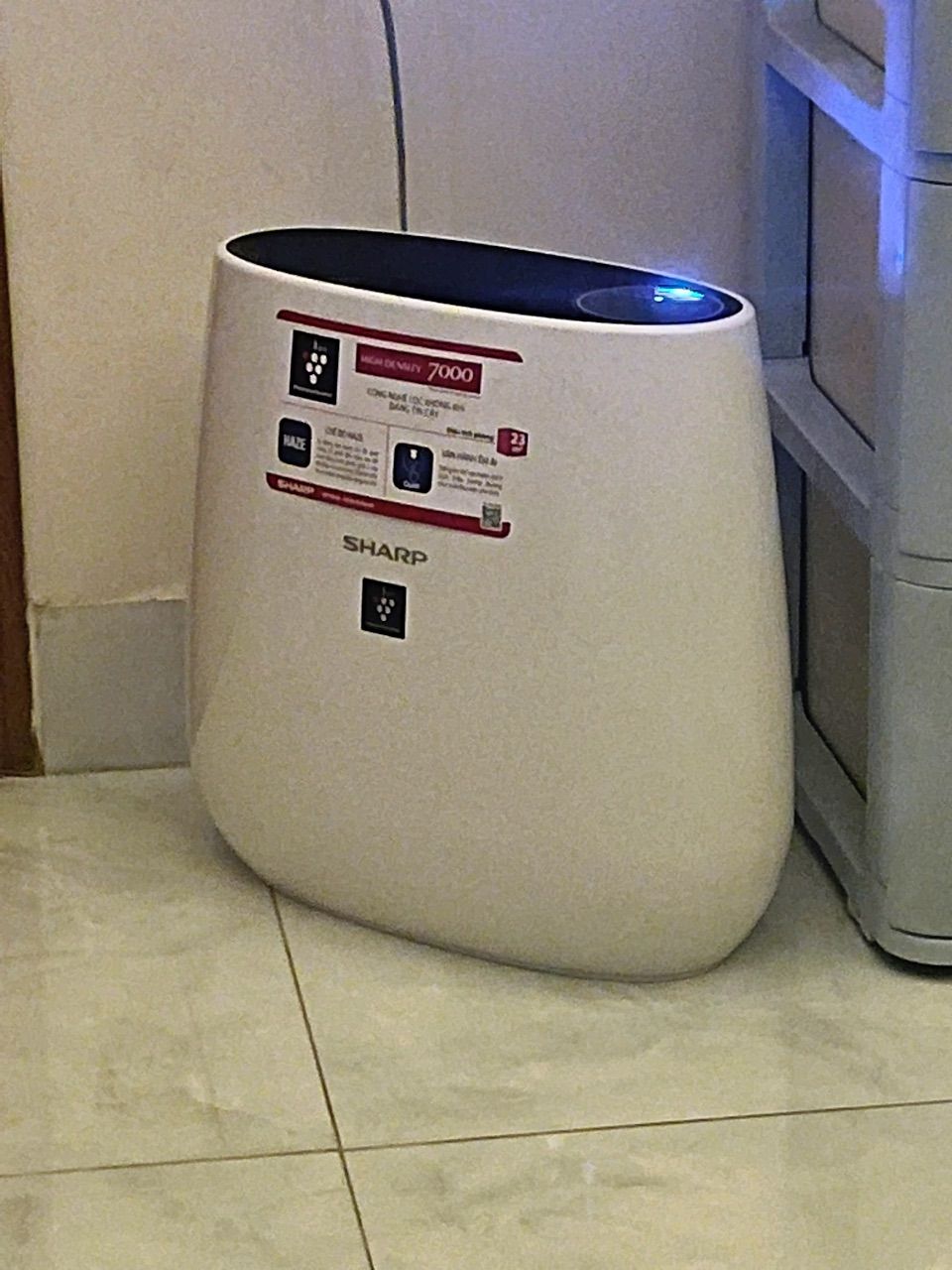 vn-11134103-7ra0g-m9he3wgsd7ji7e