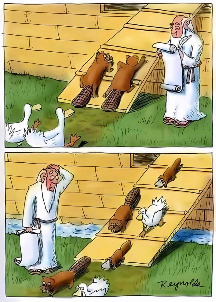 vn-11134103-7ra0g-m9yix0iamfsy1c