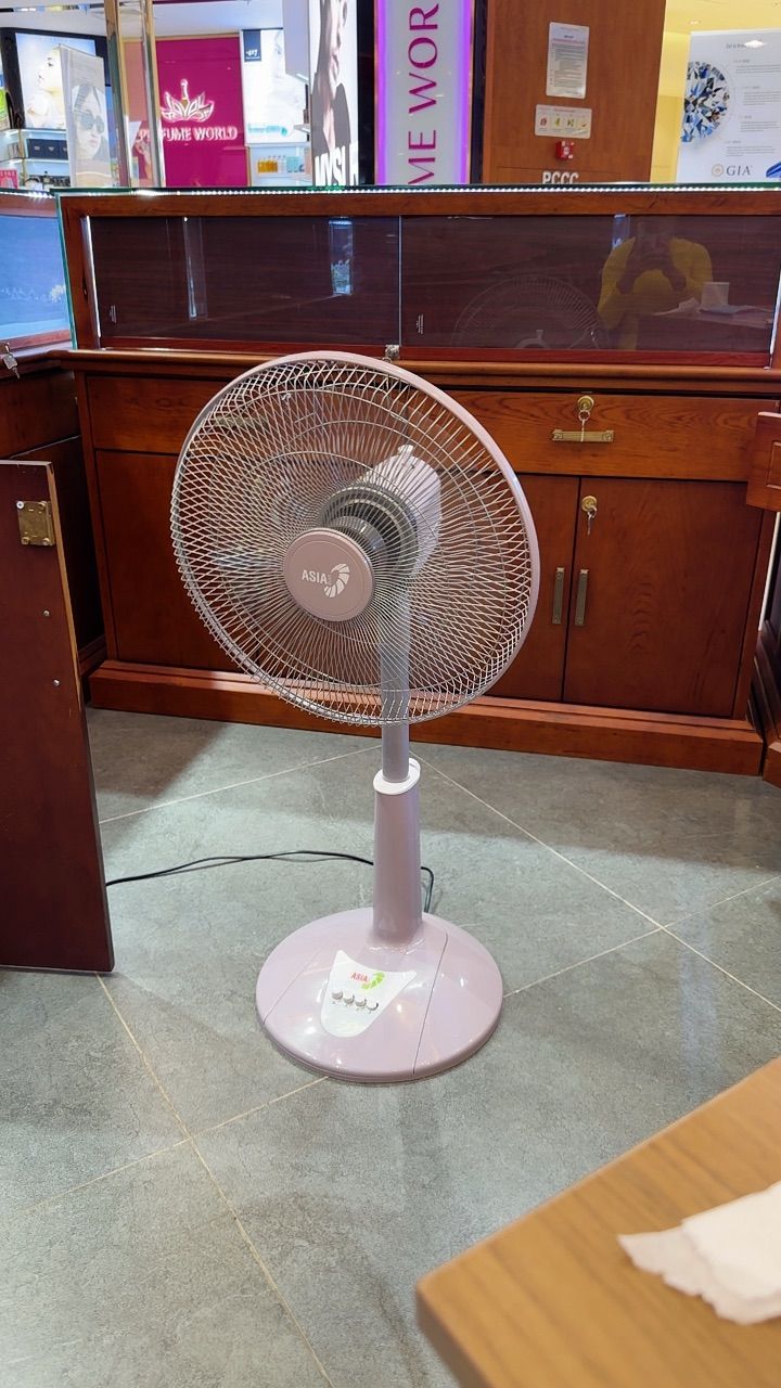 vn-11134103-7ra0g-ma6jbxw6z1wx06