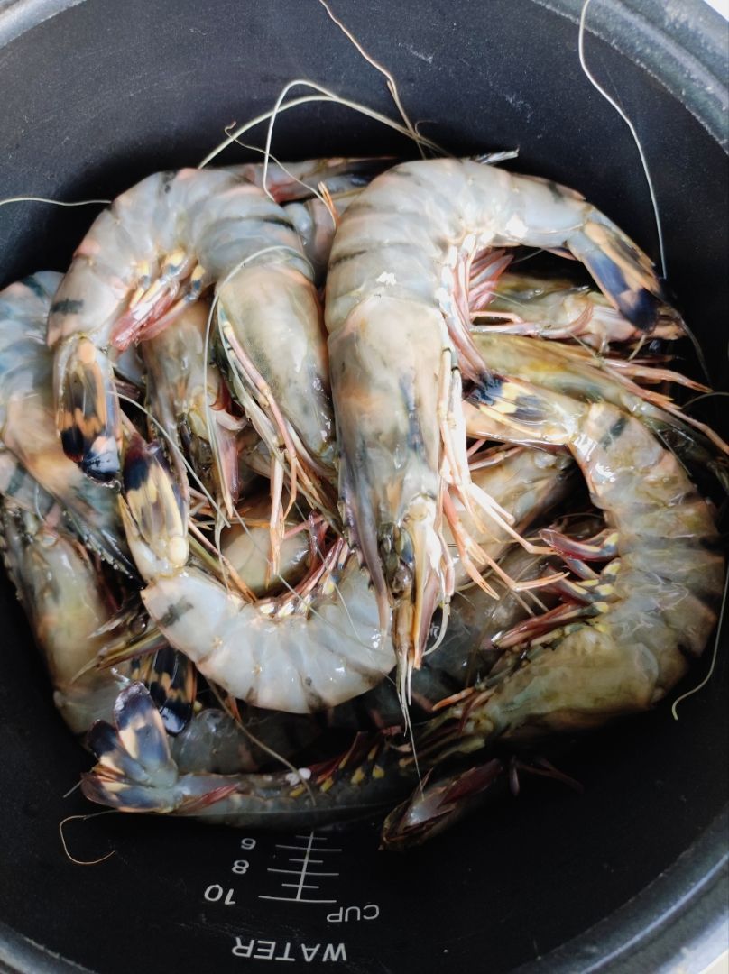 vn-11134103-7ra0g-ma7qxj9a7skxee