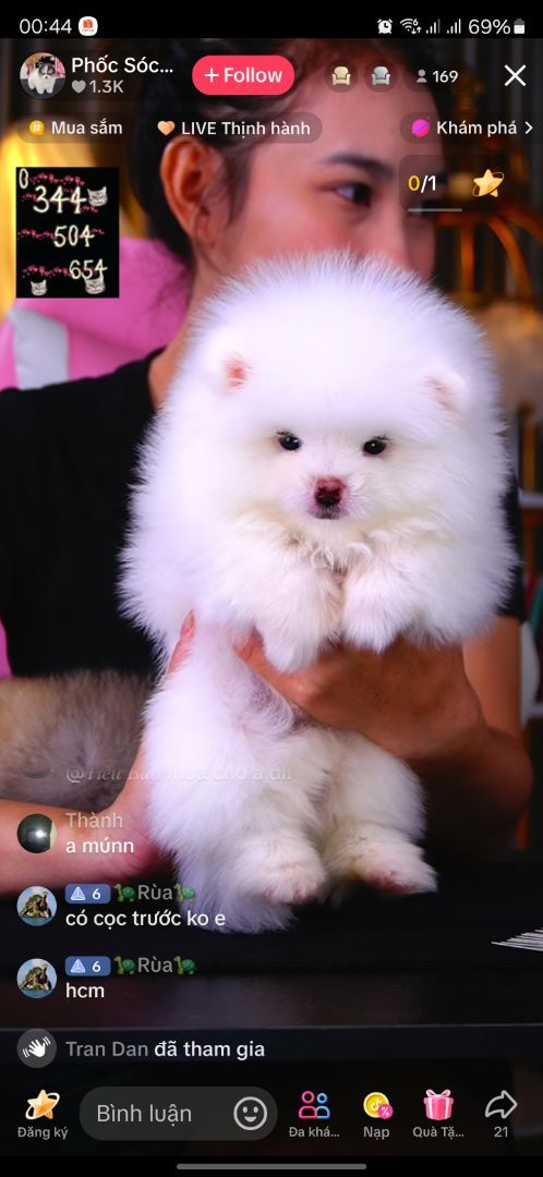 vn-11134103-7ras8-m1dupdc3d654f0