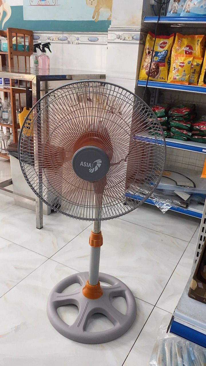 vn-11134103-7ras8-m31wjsi7sxrk7d