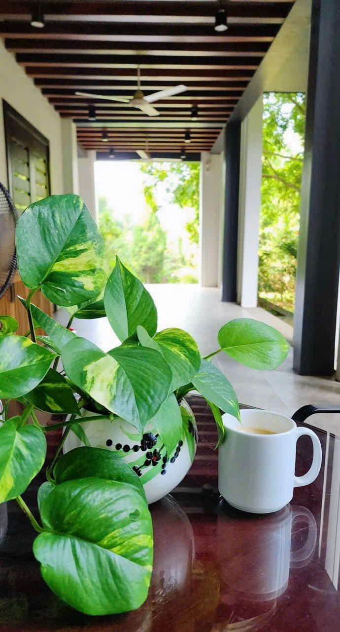 vn-11134103-7ras8-m3jfufd7fa202a