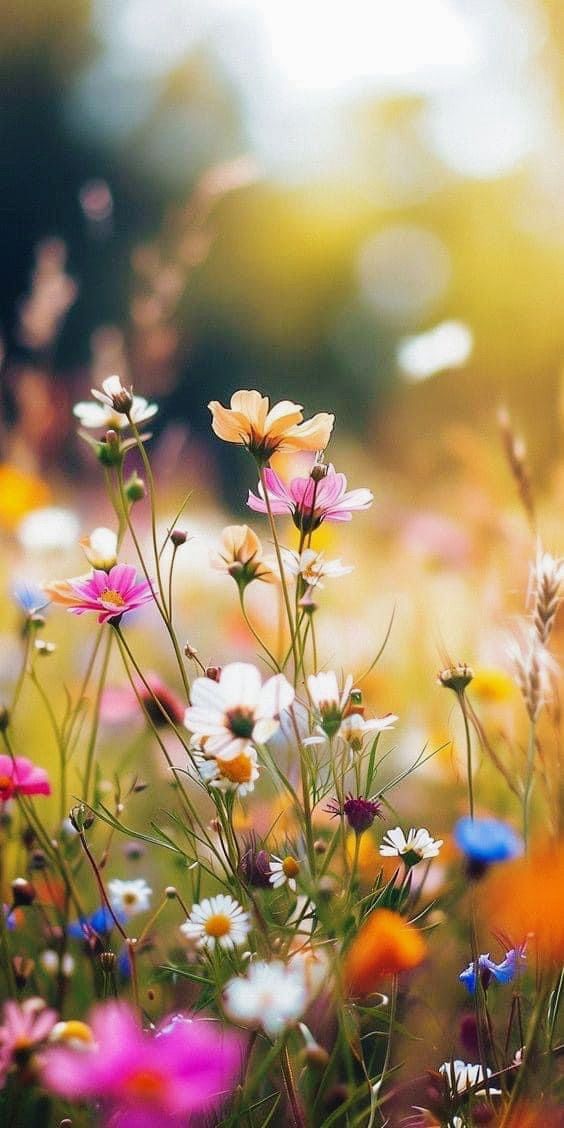 vn-11134103-7ras8-m3rd4o309ad157