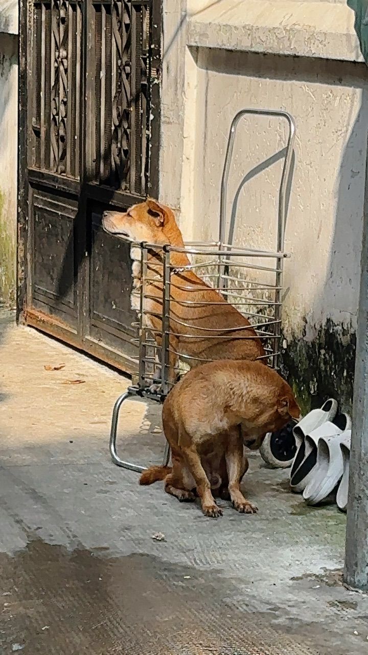 vn-11134103-7ras8-m4nh6t4eabvkc2