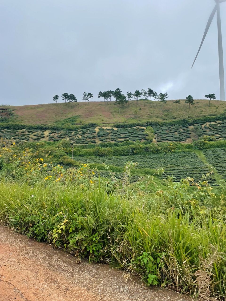 vn-11134103-7ras8-m4umm0w05mpi89